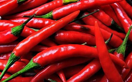 Chili pepper